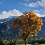 petra sachse-seibert - @sachseseibert - Instagram