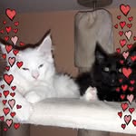 Petra Seibert - @petra.seibert.988 - Instagram