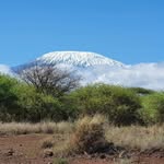 Petra Seibert - @pese1960 - Instagram