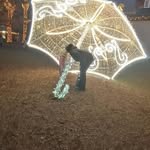 Petra Seibertová - @seibertovapetra - Instagram