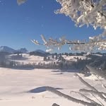 Petra Seitz - @petralydia.seitz - Instagram