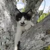 petrasigmundova - @petrasigmundova - TikTok