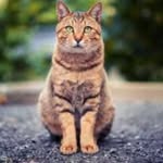 Petra Silver - @p_silve_ - Instagram