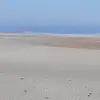 Petra Simmes - @petra.simmes - TikTok