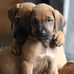 Petra Sims - Facebook