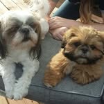 Petra Simpson - @petrasimpson7 - Instagram