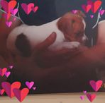 Peta Singleton - Facebook