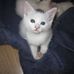 Petra Small - Facebook