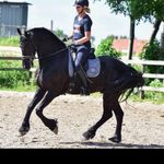 Petra Smit - @petra_smit_ - Instagram