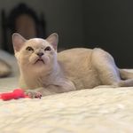 Petra Snow - @bonyaost - Instagram