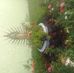 Petra Solis - Facebook