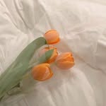 Petra Solis¿ - @fabiola.dama_ris - Instagram