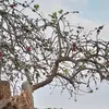 petrasolis - @petra12309 - TikTok