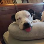 Petra Stephens - Facebook