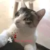 Petra Tesch979 - @petratesch01 - TikTok