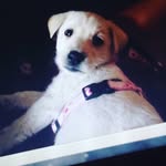 petra_xyzk - @petratesch12 - Instagram