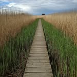Petra Thomßen Idafehn - @petrathomssencoaching - Instagram