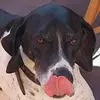 petratodd152 - @petratodd152 - TikTok