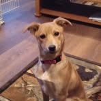 Todd Petri - Facebook