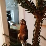 Petra Trippel - @petratrippel61 - Instagram