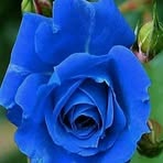 Petra Valadez - Facebook