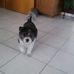 Petra Weiss - Facebook