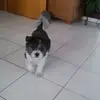 Petra Weiss - @petra.weiss01 - TikTok