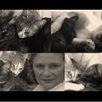 Petrina Smith - @petrina57 - Instagram