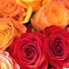 Petrona Rivas - @petrona.rivas7 - TikTok