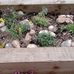 Petula Evans - Facebook