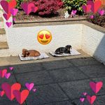 Petula Evans - @petevans24 - Instagram