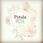 petula rose - @rose.petula - Instagram