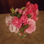 Petula Williams - Facebook