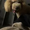 Peyton.allen - @peyton.allen - TikTok
