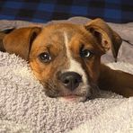 Peyton Arnold - Facebook