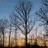 Peyton - @peytonblack2230 - TikTok