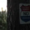 PBnJ - @peytonblanchard - TikTok