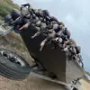 Peyton Bordelon - @peyton_bordelon3 - TikTok