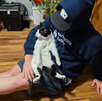 Peyton Bowers - Facebook