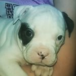 picklerocks123 - @peytonboyles - Instagram