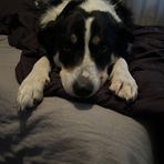 Peyton Bromley - Facebook