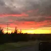 Peyton - @peytonbrooks50 - TikTok