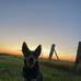 Peyton Carlson - Facebook