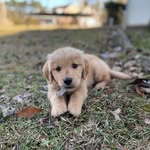 Peyton Carr - @peytoncarr67 - Instagram