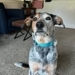 Peyton Carr - Facebook