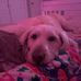 Peyton Catey - Facebook