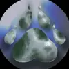 Peyton Charles - @majesticpaw - TikTok