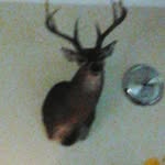 peyton charles hight - @nerfgammer - Instagram