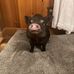 Peyton Cherry - Facebook
