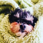 Peyton Chitty - @killing._.me._.pluto - Instagram